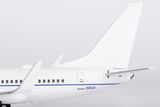 NGmodel アメリカ空軍 C-40B (737-700 BBJ) 02-0042 1/200 05008