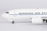 NGmodel アメリカ空軍 C-40C (737-700 BBJ) 02-0202 1/200 05009