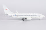 NGmodel アメリカ空軍 C-40C (737-700 BBJ) 02-0202 1/200 05009