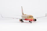 ＜予約＞NGmodel サウスウエスト航空 737-700 N714CB 1/200 05030 NGmodel