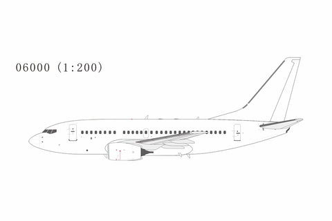 &lt;Reservierung&gt;NGmodel 737-600 Unbemaltes Modell 1/200 06000