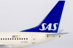 NGmodel スカンジナビア航空 737-600 LN-RPG 1/200 06010
