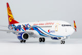 ＜取り寄せ＞NGmodel 海南航空 737-800/w B-1501 1/200 08002