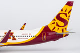NGmodel サンカントリー航空 737-800/w N809SY 1/200 08049