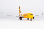NGmodel サンカントリー航空 737-800/w N809SY 1/200 08049