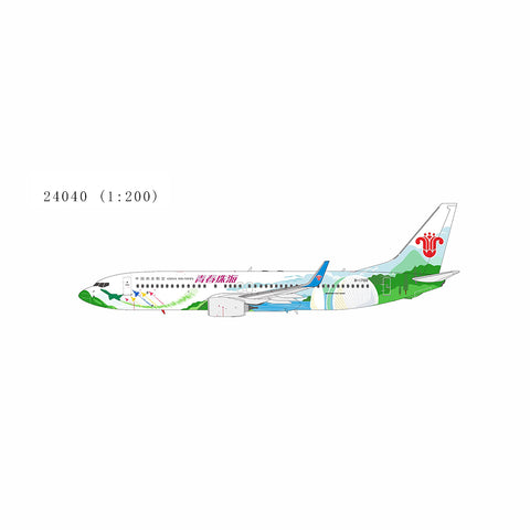 NGmodel 中国南方航空 737-800/w B-1700 1/200 24039