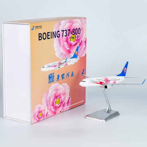 ＜予約＞NGmodel 中国南方航空 737-800 B-1979 1/200 24049