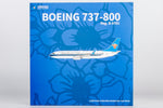 ＜予約＞NGmodel 中国南方航空 737-800 B-5761 1/200 24192