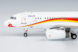 ＜取り寄せ＞NGmodel Deer Jet A319ACJ P4-IFD 1/400 49029