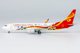 NGmodel 海南航空 737-800 B-6060 1/400 58193 NGmodel