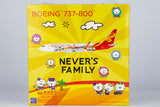 NGmodel 海南航空 737-800 B-6060 1/400 58193 NGmodel