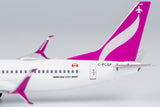 ＜取り寄せ＞NGmodel スウープ 737-800 C-FLSF 1/400 58207