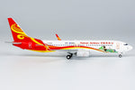 NGmodel 海南航空 737-800 B-6066 1/400 58240