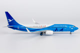 ＜予約＞NGmodel 厦門航空 737-800 B-5656 1/200 64183 NGmodel