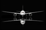 ＜取り寄せ＞SQwings タイ国際航空 787-8 HS-TQA 1/200 L2030