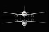 ＜取り寄せ＞SQwings タイ国際航空 787-8 HS-TQA 1/200 L2030